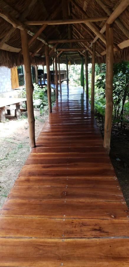 The Mountain House Hotel Drake Bay ภายนอก รูปภาพ